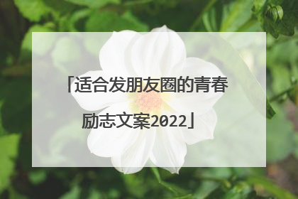 适合发朋友圈的青春励志文案2022