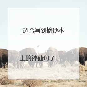 适合写到摘抄本上的神仙句子