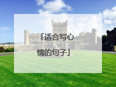 适合写心情的句子