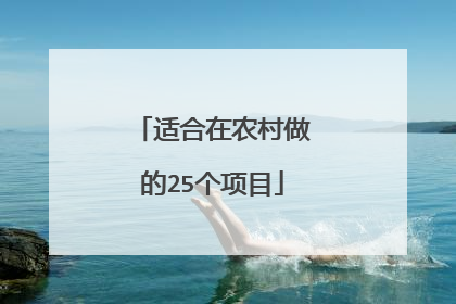 适合在农村做的25个项目