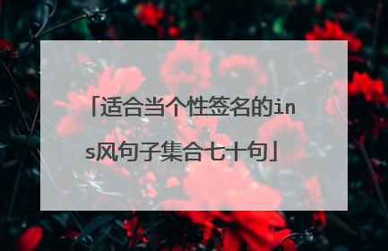 适合当个性签名的ins风句子集合七十句