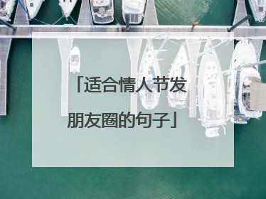 适合情人节发朋友圈的句子