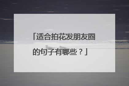 适合拍花发朋友圈的句子有哪些？