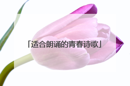 适合朗诵的青春诗歌