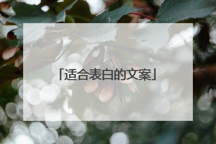 适合表白的文案