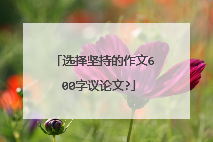 选择坚持的作文600字议论文?