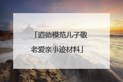 道德模范儿子敬老爱亲事迹材料