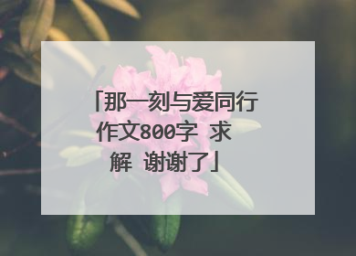 那一刻与爱同行作文800字 求解 谢谢了