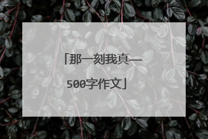 那一刻我真——500字作文