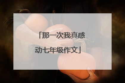 那一次我真感动七年级作文