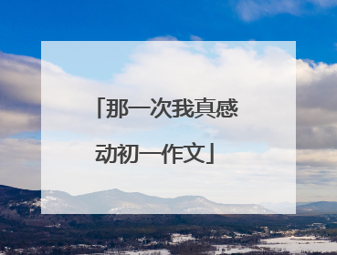 那一次我真感动初一作文