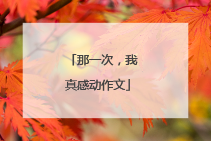 那一次，我真感动作文