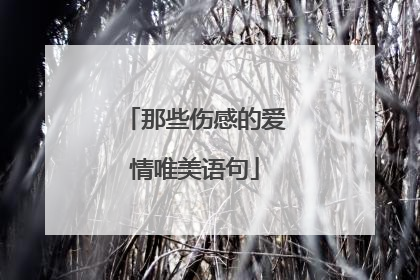 那些伤感的爱情唯美语句