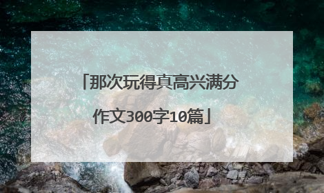 那次玩得真高兴满分作文300字10篇