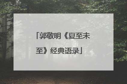郭敬明《夏至未至》经典语录