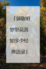 郭敬明梦里花落知多少经典语录