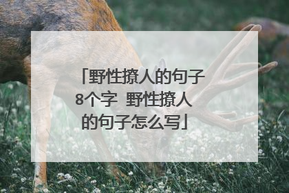 野性撩人的句子8个字 野性撩人的句子怎么写