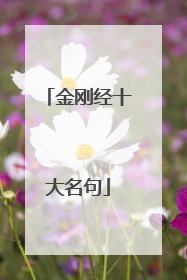 金刚经十大名句