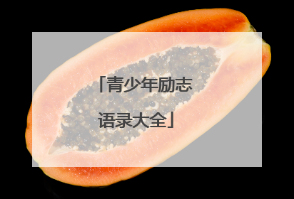 青少年励志语录大全