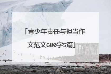 青少年责任与担当作文范文600字5篇