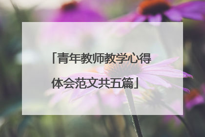 青年教师教学心得体会范文共五篇