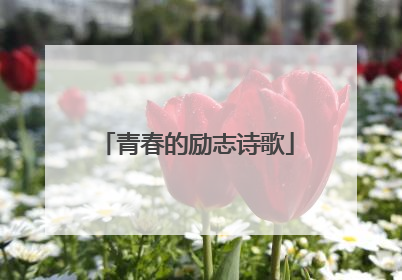 青春的励志诗歌