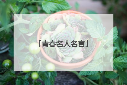 青春名人名言