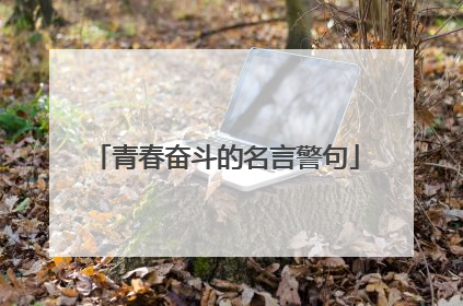 青春奋斗的名言警句