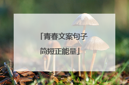 青春文案句子简短正能量