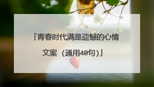 青春时代满是遗憾的心情文案 (通用40句)