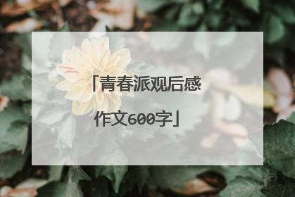 青春派观后感作文600字