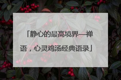 静心的最高境界——禅语，心灵鸡汤经典语录