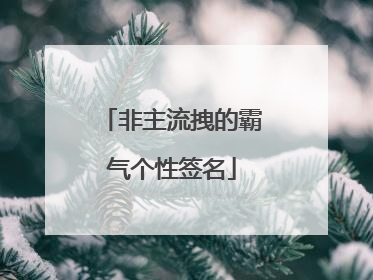 非主流拽的霸气个性签名