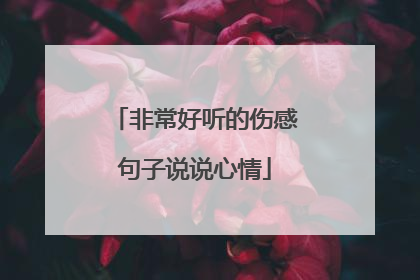 非常好听的伤感句子说说心情