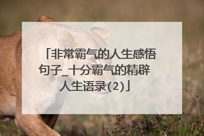 非常霸气的人生感悟句子_十分霸气的精辟人生语录(2)