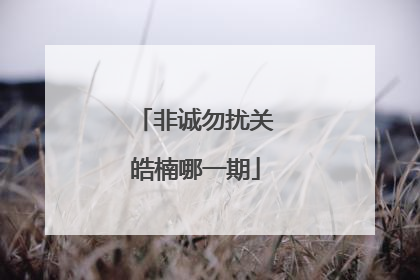 非诚勿扰关皓楠哪一期
