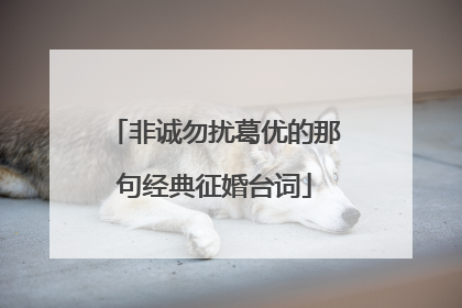 非诚勿扰葛优的那句经典征婚台词