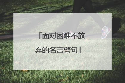 面对困难不放弃的名言警句