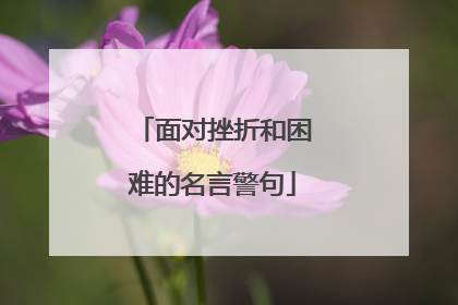 面对挫折和困难的名言警句