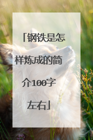 钢铁是怎样炼成的简介100字左右