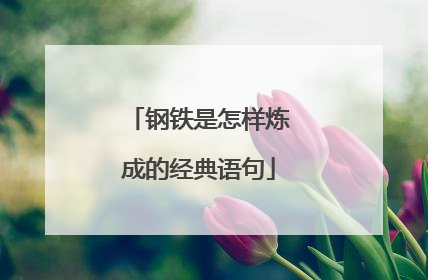 钢铁是怎样炼成的经典语句