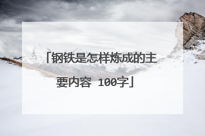 钢铁是怎样炼成的主要内容 100字