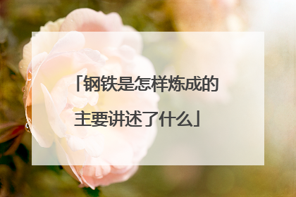 钢铁是怎样炼成的主要讲述了什么