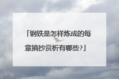 钢铁是怎样炼成的每章摘抄赏析有哪些?