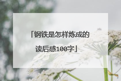 钢铁是怎样炼成的读后感100字