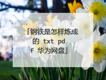 钢铁是怎样炼成的 txt pdf 华为网盘