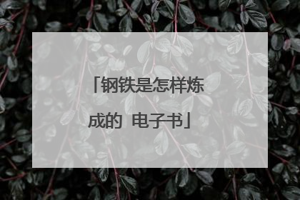 钢铁是怎样炼成的 电子书