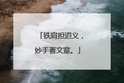 铁肩担道义,妙手著文章。