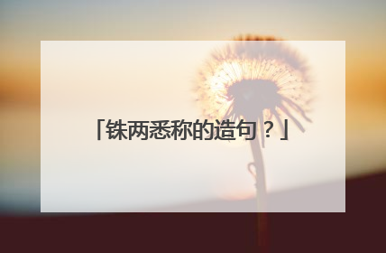 铢两悉称的造句？