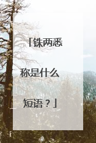 铢两悉称是什么短语?